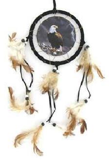 Lynne Caddick Catcher